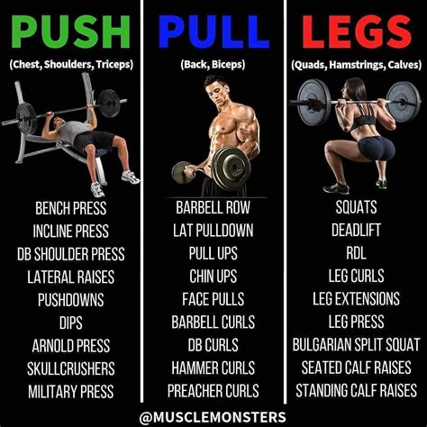 Let’s take a more in-depth look at each of the steps: 1. . Push pull legs pdf